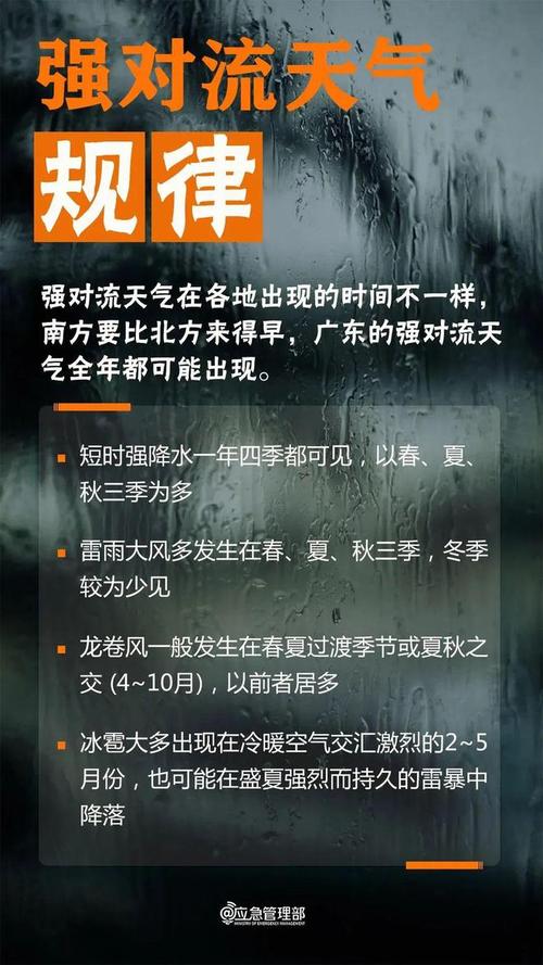 香港澳门 第5页