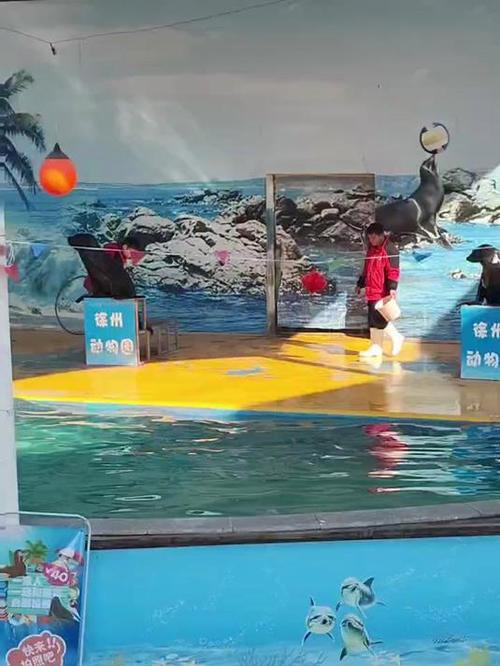 海洋馆员工脚踢海狮,海洋馆员工脚踢海狮视频