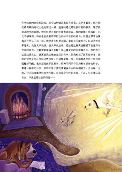 女子为4只狗立遗嘱,女子为4只狗立遗嘱视频