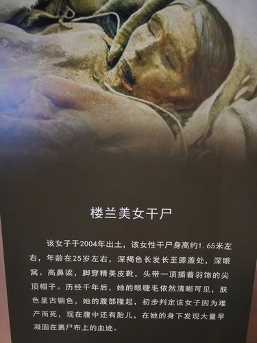 欠债欲卖千年裹尸布,